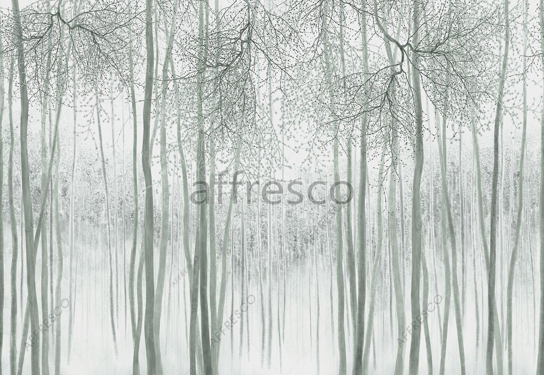 ID139258 | Forest | mysterious forest | Affresco Factory