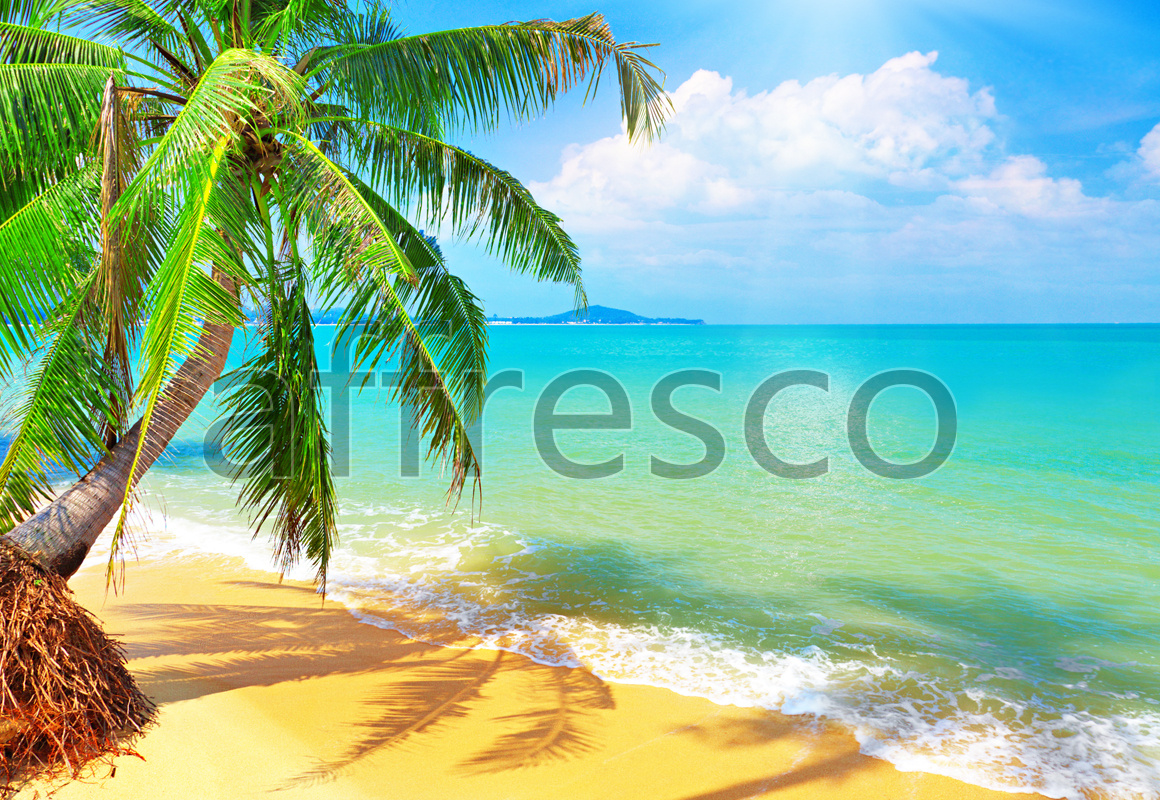 ID11080 | The best landscapes | Palm tree on the sandy beach | Affresco Factory