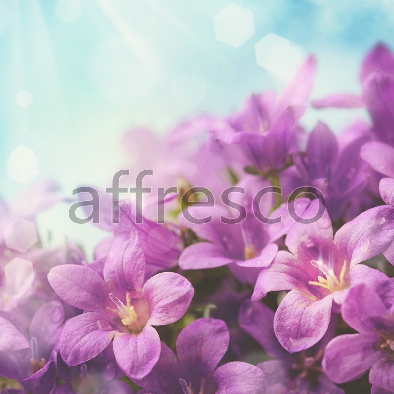 7218 | Flowers | flowers of lilac | Affresco Factory