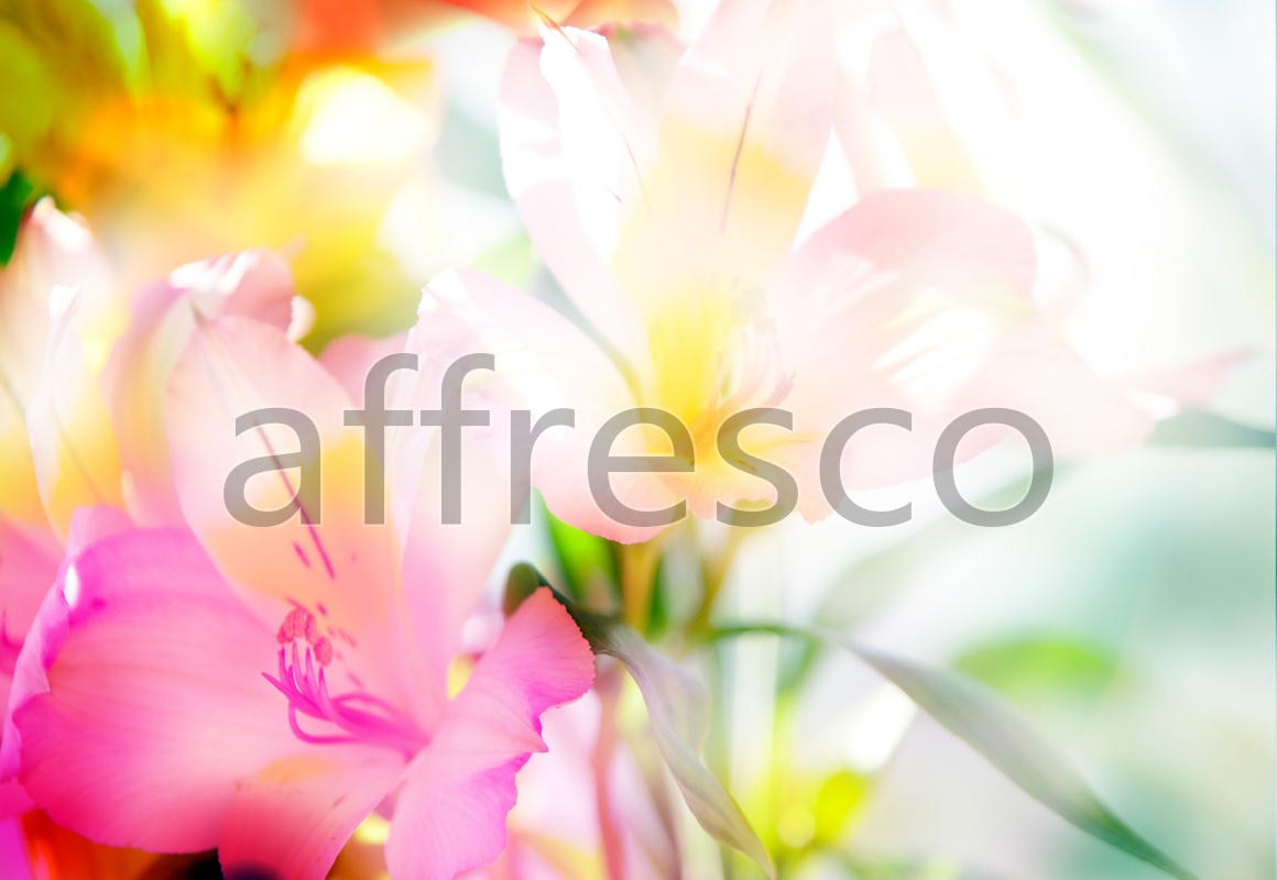 ID11617 | Flowers | flowers in sun rays | Affresco Factory