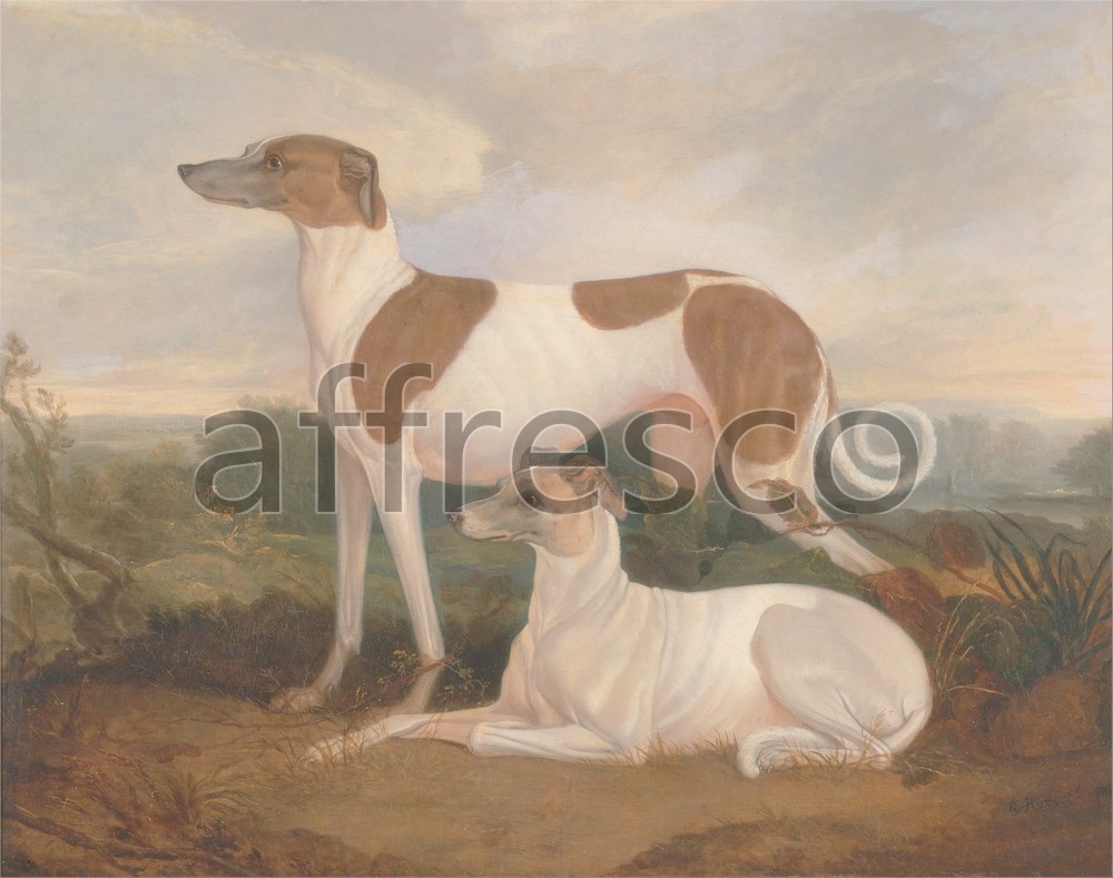 Paintings of animals | Charles Hancock Two Greyhounds in a Landscape | Affresco Factory