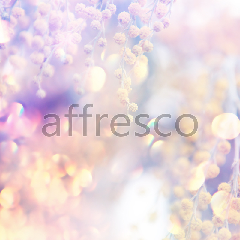 ID11623 | Flowers | sunny mimosa | Affresco Factory