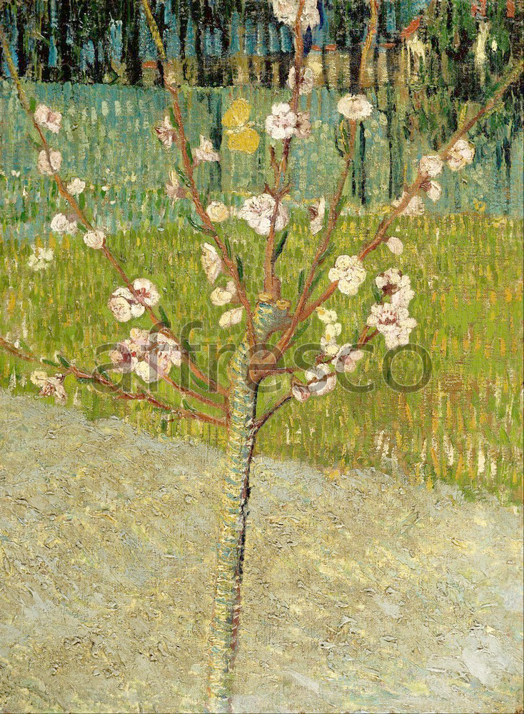 Impressionists & Post-Impressionists | Vincent van Gogh Almond tree in blossom | Affresco Factory