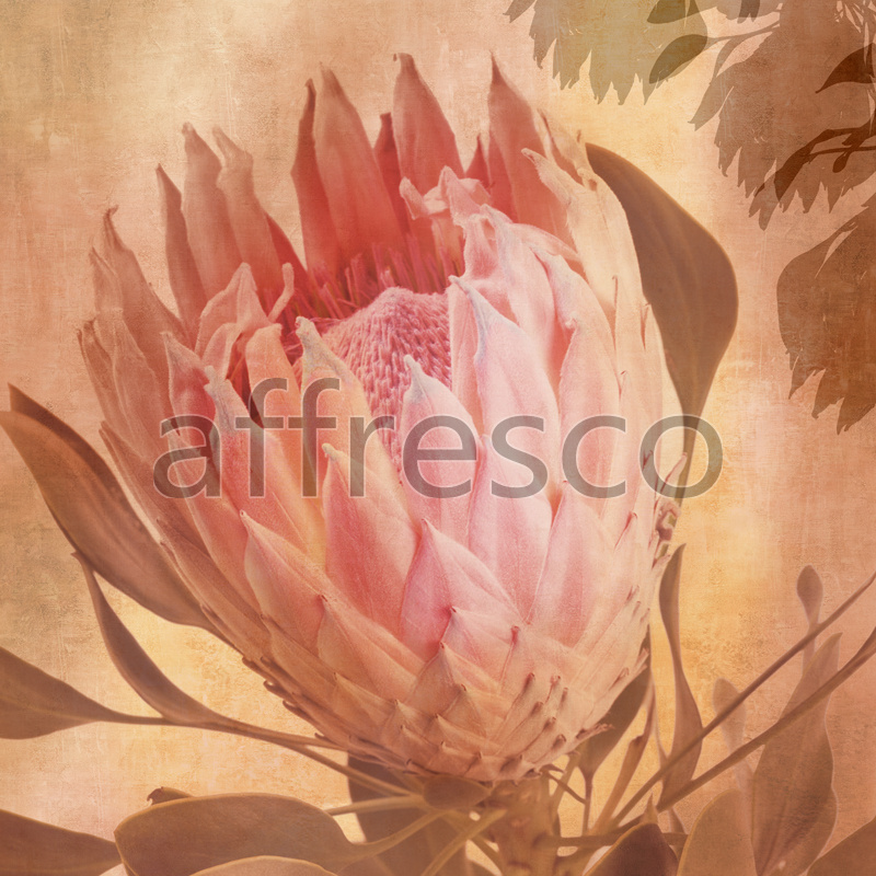 ID135574 | Flowers | lotus bud | Affresco Factory