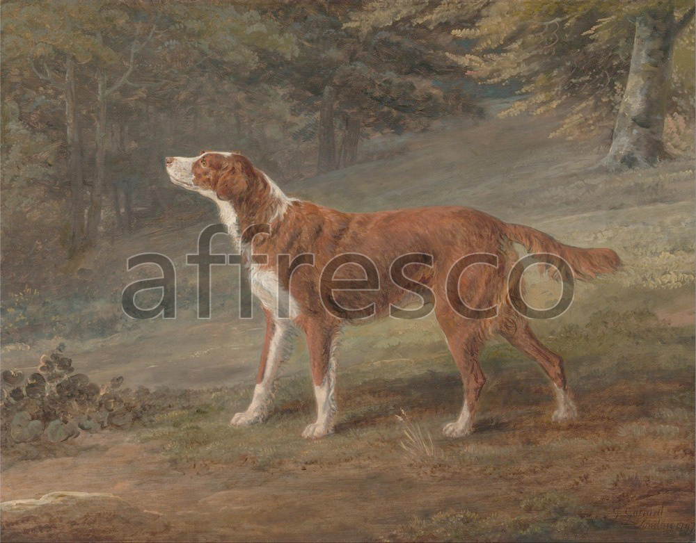 Paintings of animals | George Garrard Ranger a setter the property of Elizabeth Gray | Affresco Factory