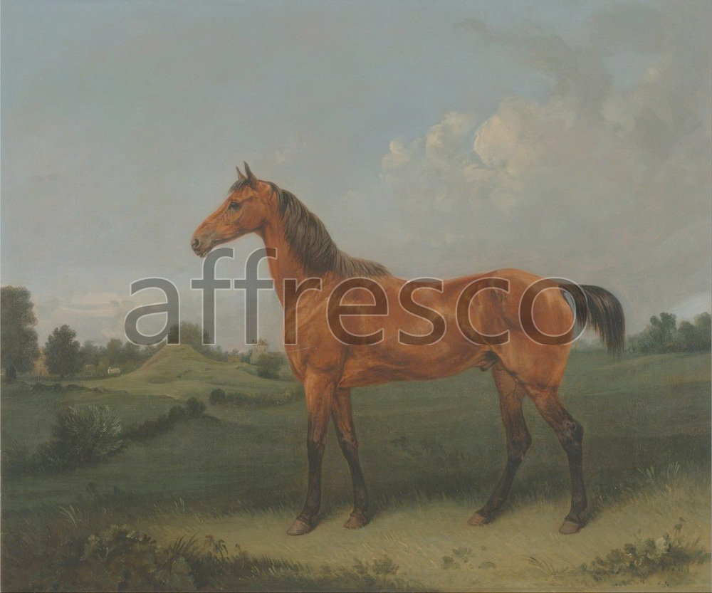 Paintings of animals | Edmund Bristow A Bay Horse in a Field | Affresco Factory