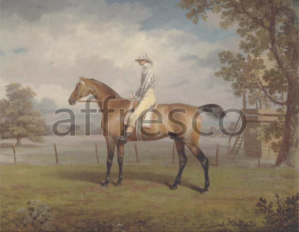 Paintings of animals | George Garrard Portrait of a Racehorse Possibly Disguise the Property of the Duke of Hamilton | Affresco Factory