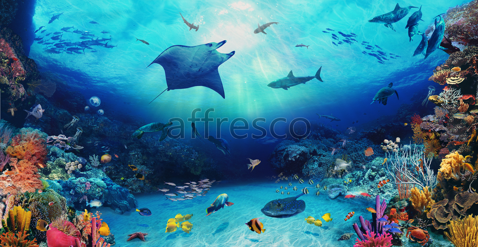 6393 | The best landscapes | Sea inhabitants | Affresco Factory