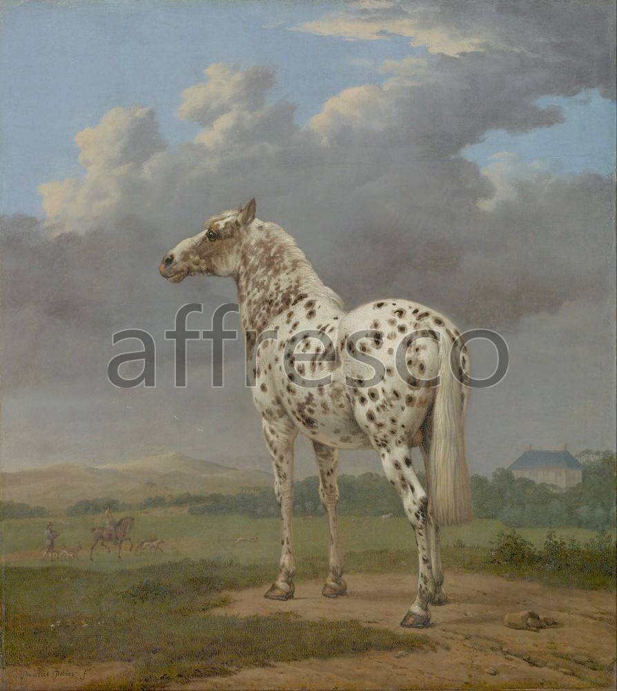 Paintings of animals | Paulus Potter The Piebald Horse | Affresco Factory