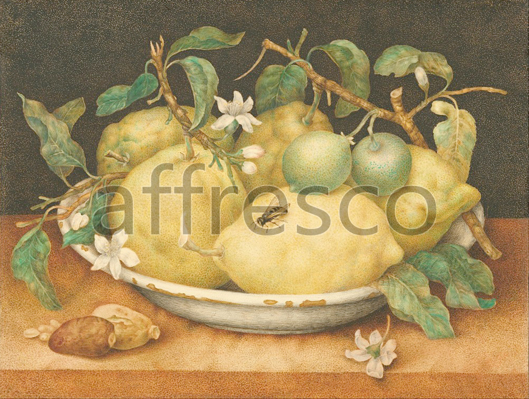 Still life | Giovanna Garzoni Still Life with Bowl of Citrons | Affresco Factory