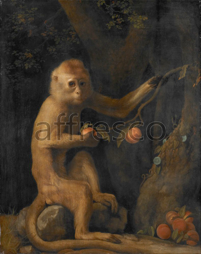 Paintings of animals | George Stubbs A Monkey | Affresco Factory