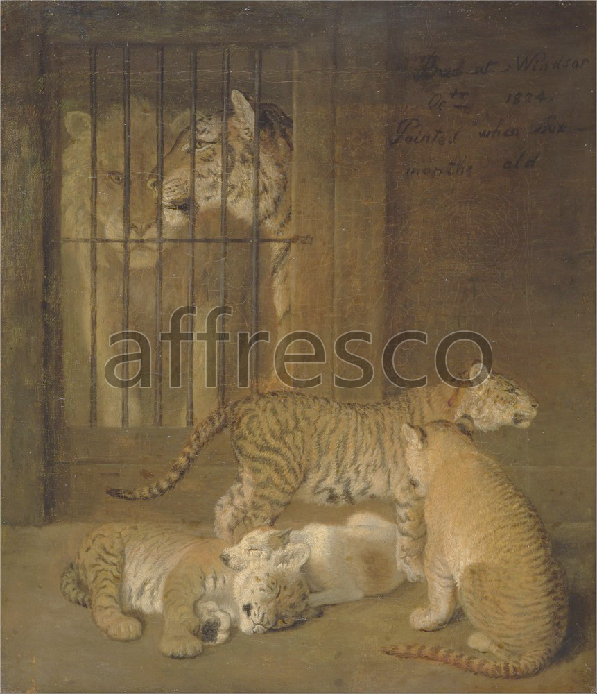 Paintings of animals | Jacques Laurent Agasse Group of Whelps Bred between a Lion and a Tigress | Affresco Factory