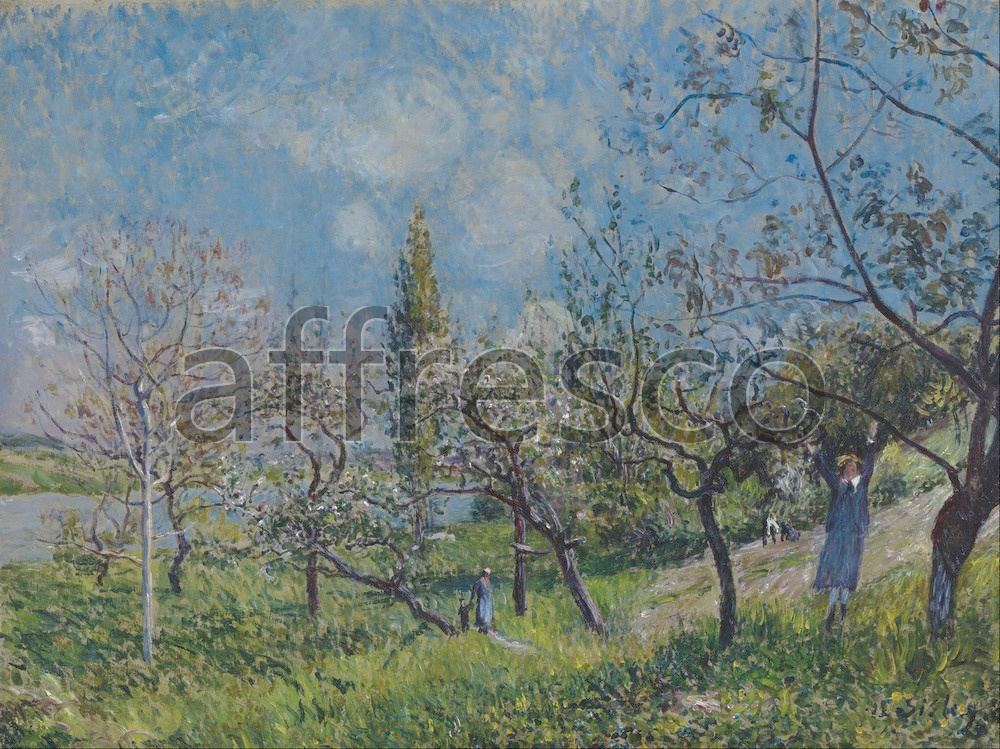 Impressionists & Post-Impressionists | Alfred Sisley Orchard in Spring By | Affresco Factory