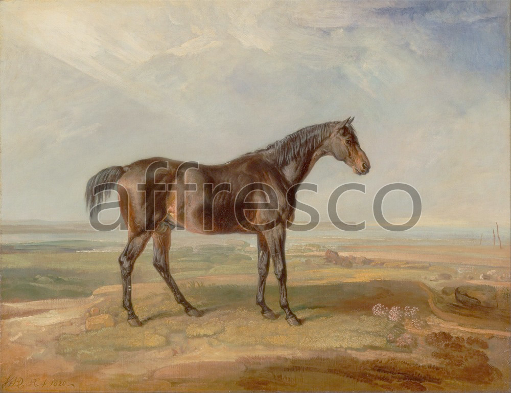 Paintings of animals | James Ward Dr. Syntax a Bay Racehorse Standing in a Coastal Landscape an Estuary Beyond | Affresco Factory