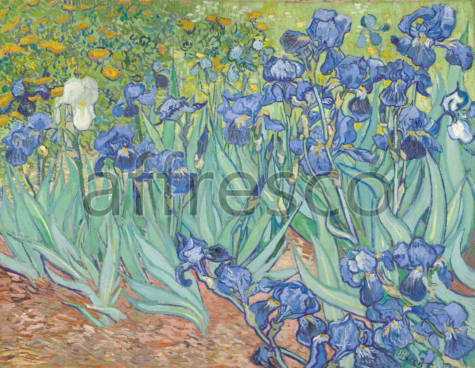 Impressionists & Post-Impressionists | Irises Vincent van Gogh | Affresco Factory
