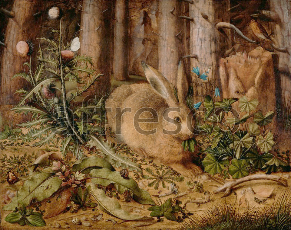 Paintings of animals | Hans Hoffmann A Hare in the Forest | Affresco Factory