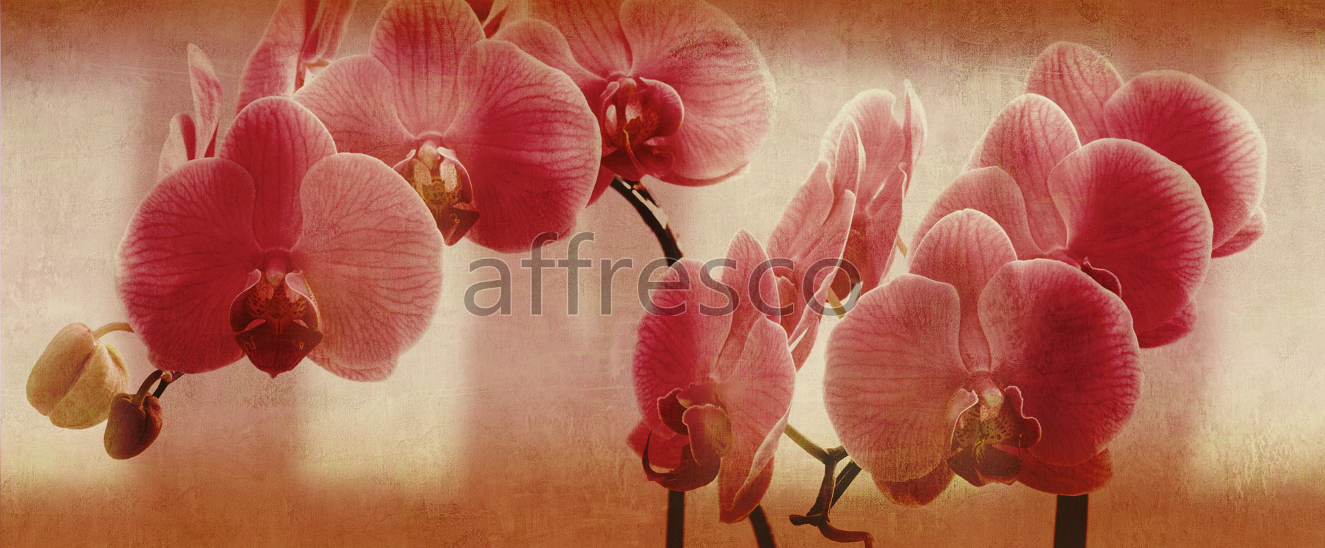 ID135671 | Flowers | flowers on orchid branch | Affresco Factory