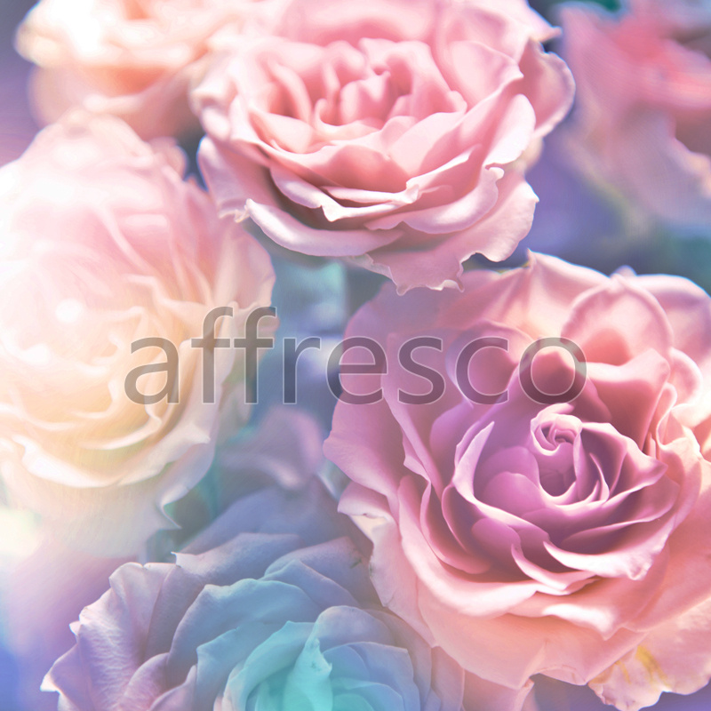 7206 | Flowers | rose's petals | Affresco Factory