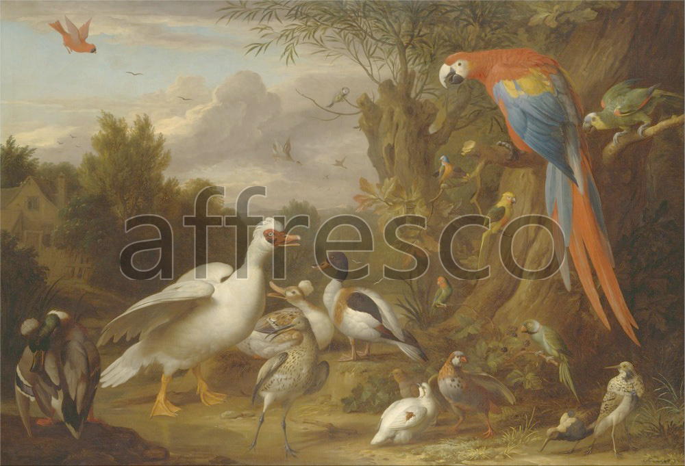 Paintings of animals | Jacob Bogdani A Macaw Ducks Parrots and Other Birds in a Landscape | Affresco Factory
