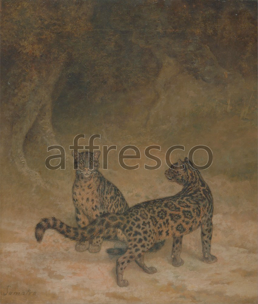 Paintings of animals | Jacques Laurent Agasse Clouded Leopards | Affresco Factory