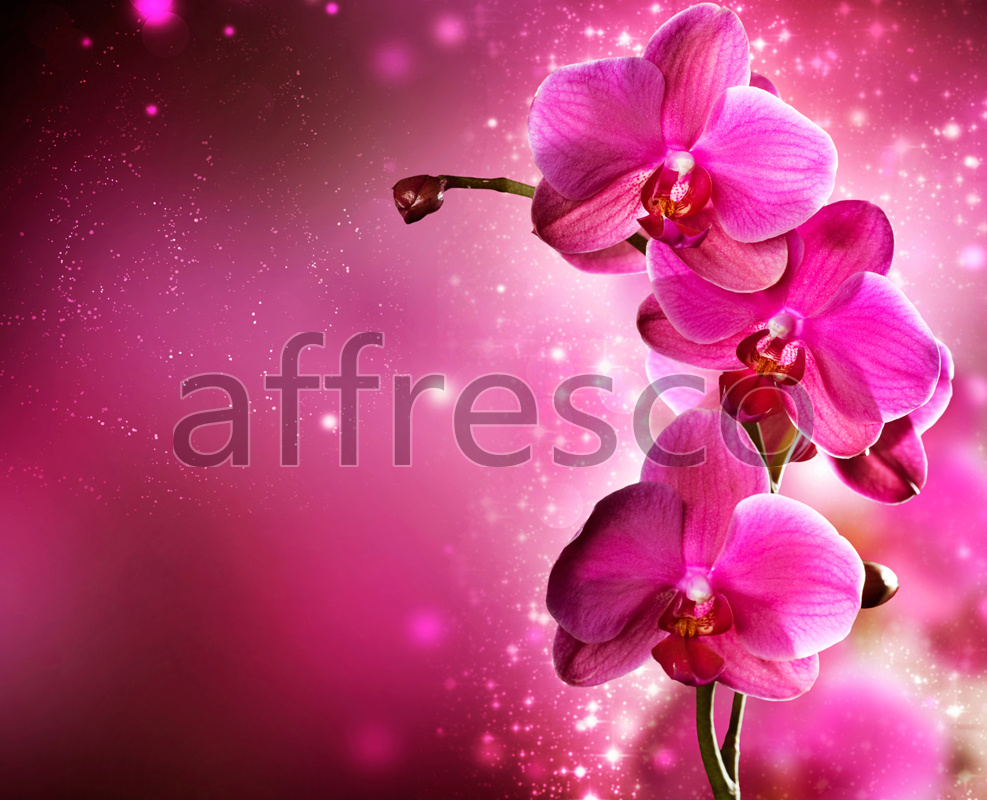 ID12709 | Flowers | orchid branch | Affresco Factory