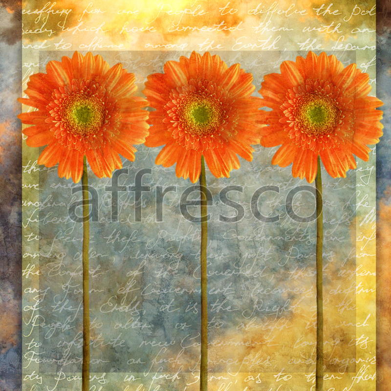 ID135586 | Flowers | daisy | Affresco Factory