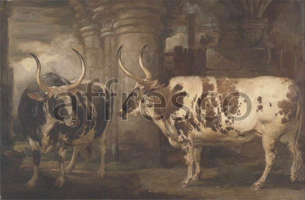 Paintings of animals | James Ward Portraits of two extraordinary oxen the property of the Earl of Powis | Affresco Factory