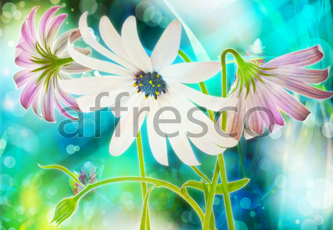 ID13323 | Flowers | delicate field flowers | Affresco Factory
