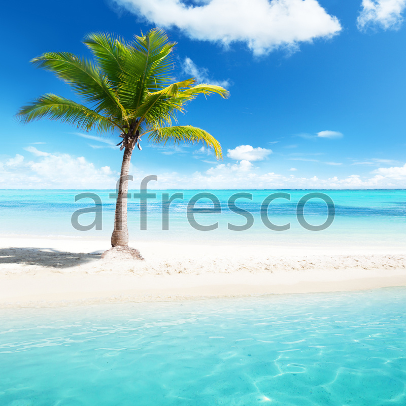 ID12874 | The best landscapes | Palm-tree by the sea | Affresco Factory