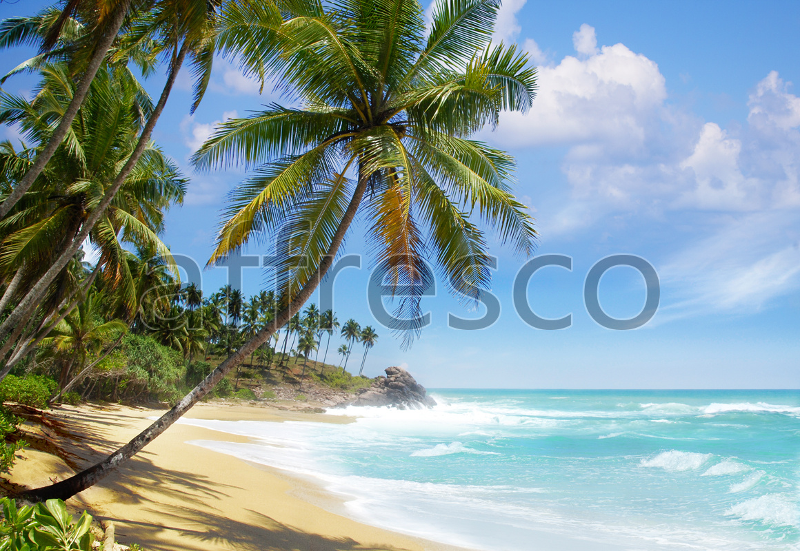 ID11109 | The best landscapes | Carribean beach | Affresco Factory