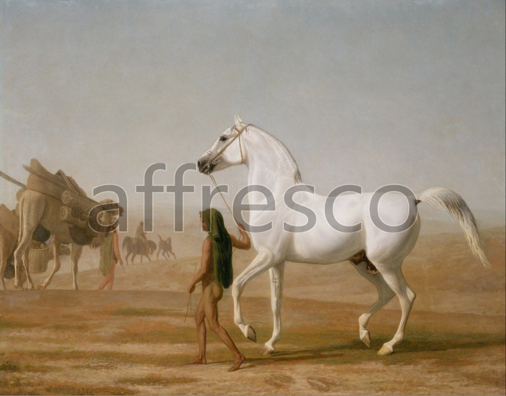 Paintings of animals | Jacques Laurent Agasse The Wellesley Grey Arabian Led through the Desert | Affresco Factory