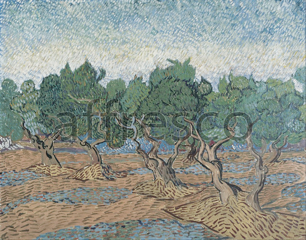 Impressionists & Post-Impressionists | Vincent van Gogh Olive grove | Affresco Factory