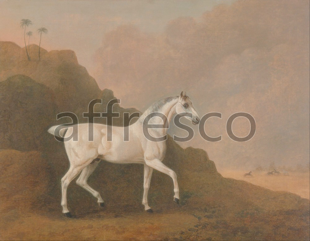 Paintings of animals | John Boultbee A Grey Arab Stallion in a Desert Landscape | Affresco Factory