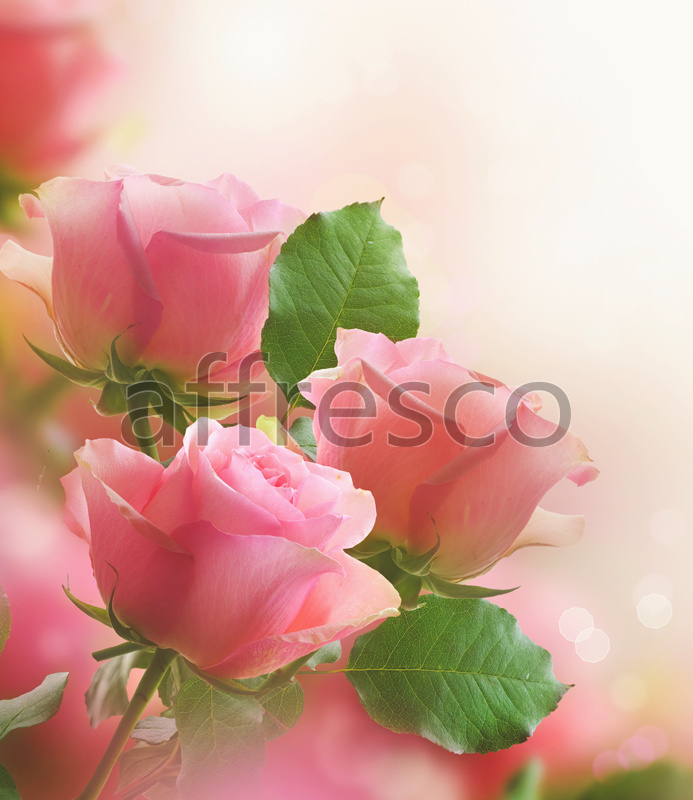 7211 | Flowers | pink buds | Affresco Factory