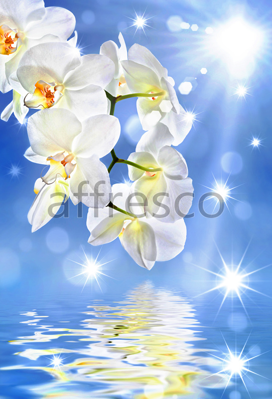 7229 | Flowers | sunny orchid | Affresco Factory