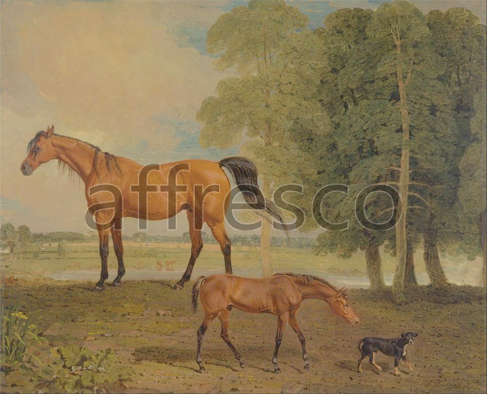 Paintings of animals | Benjamin Marshall Broodmare with Foal and a Terrier | Affresco Factory
