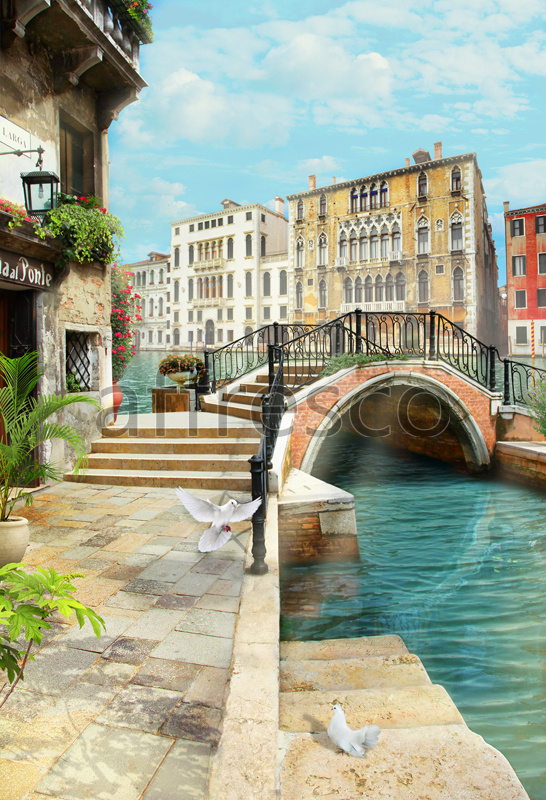 4931 | The best landscapes | Pegeons in Venice | Affresco Factory
