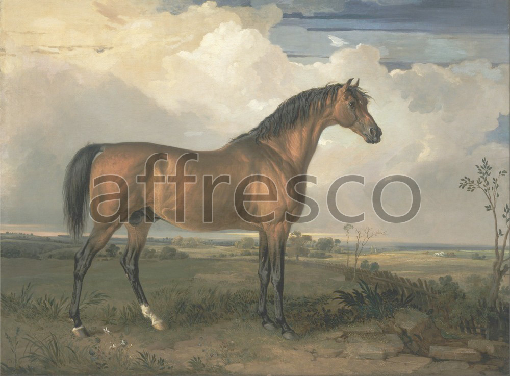 Paintings of animals | James Ward Eagle a Celebrated Stallion | Affresco Factory