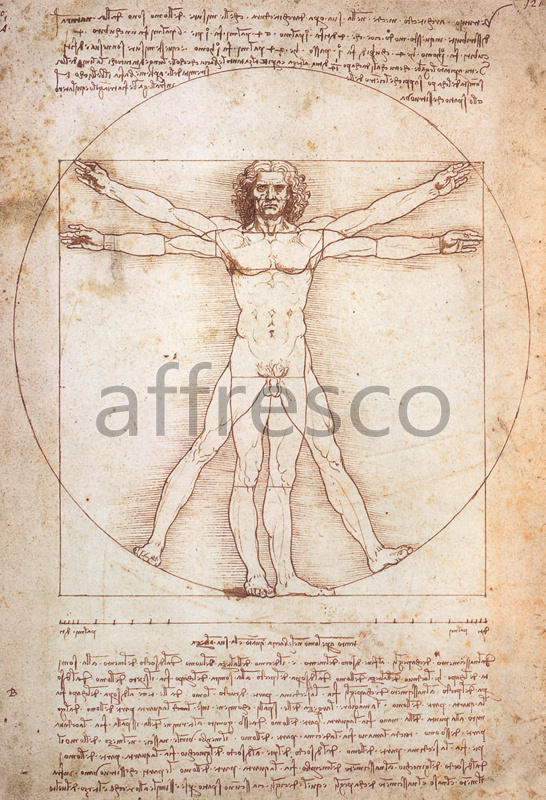 5014 | Graphics | Витрувианский человек Леонардо да Винчи | Affresco Factory