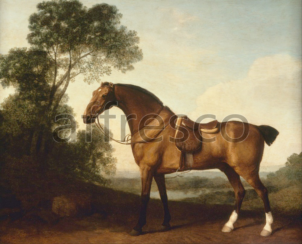 Paintings of animals | George Stubbs A Saddled Bay Hunter | Affresco Factory