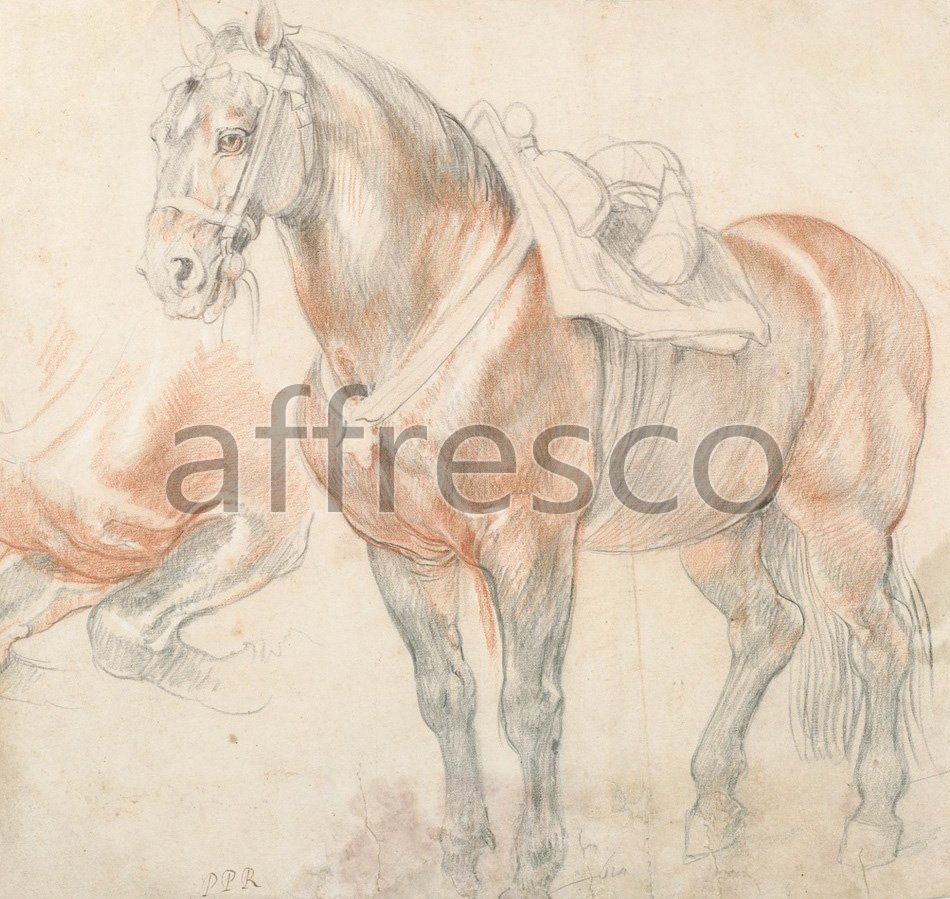 Paintings of animals | Peter Paul Rubens Saddled Horse | Affresco Factory