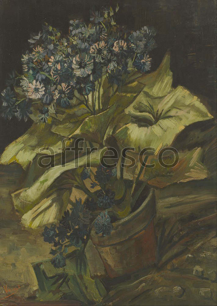Impressionists & Post-Impressionists | Vincent van Gogh Cineraria | Affresco Factory