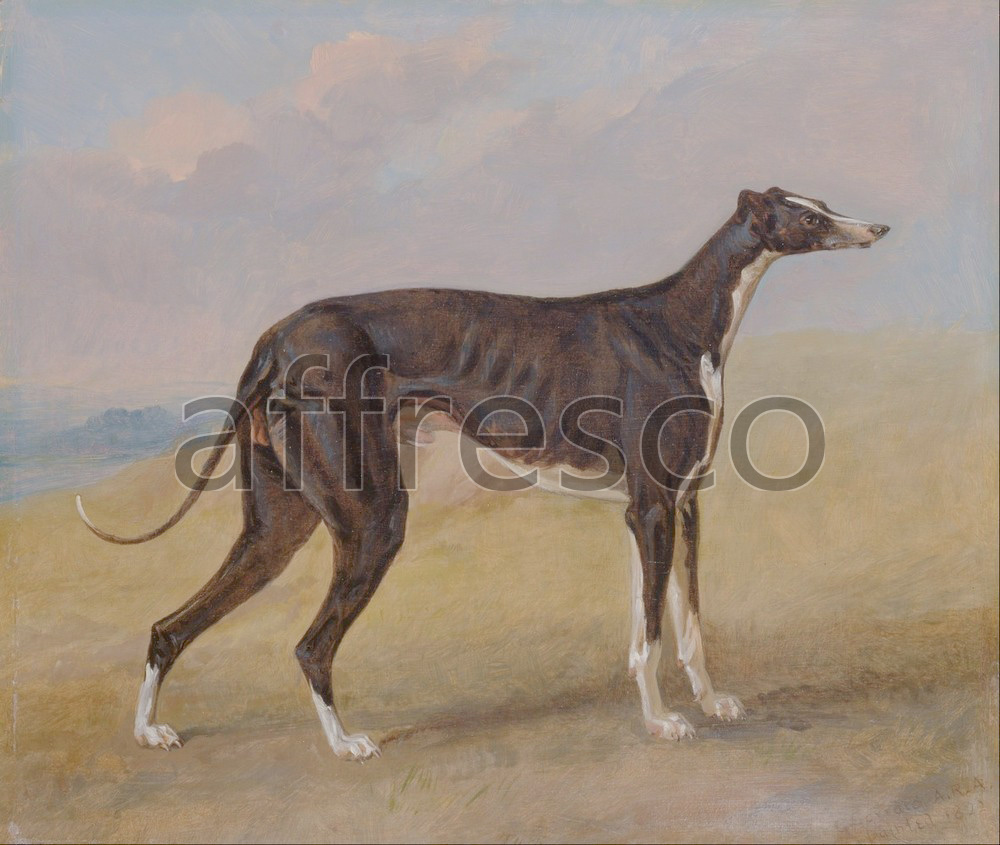 Paintings of animals | George Garrard Turk a greyhound the property of George Lane Fox | Affresco Factory