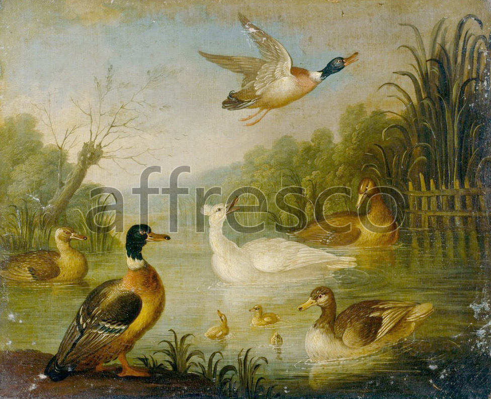 Paintings of animals | Cradock, Marmaduke Mallards on a Pond | Affresco Factory