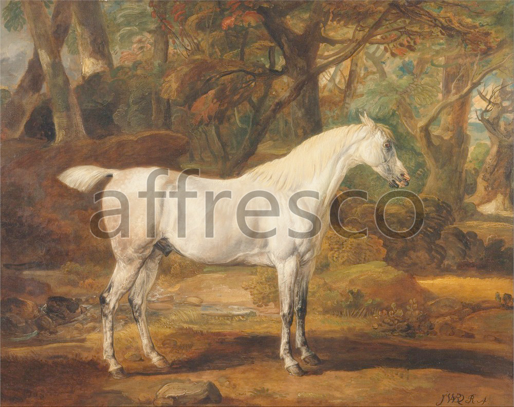 Paintings of animals | James Ward Grey Arabian stallion the property of Sir Watkin Williams Wynn | Affresco Factory