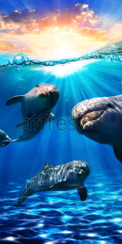6503 | The best landscapes | Sunny dolphins | Affresco Factory