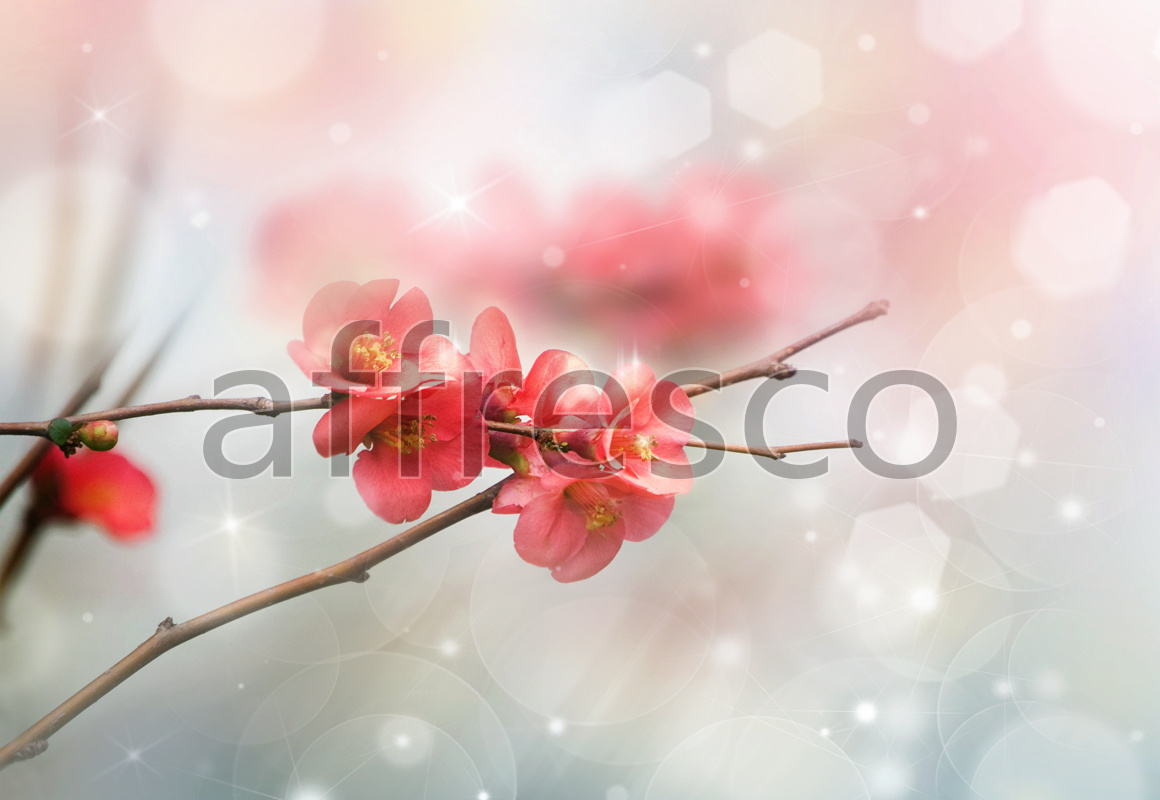 ID11824 | Flowers | sakura macro | Affresco Factory