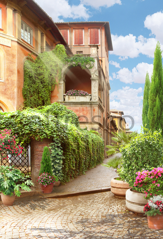 4972 | The best landscapes | View of an italian street | Affresco Factory