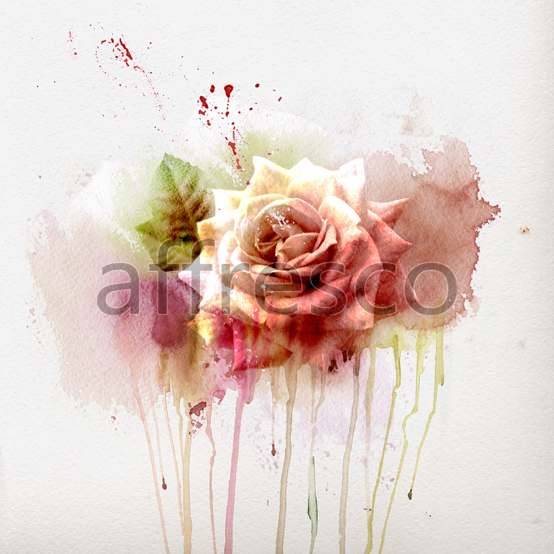 ID12801 | Flowers | aquarelle roses | Affresco Factory