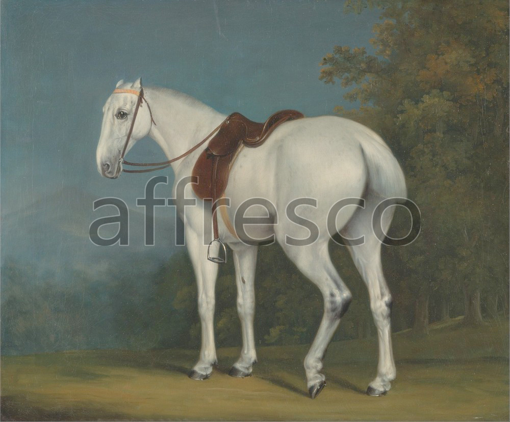 Paintings of animals | Jacques Laurent Agasse A Ladys Grey Hunter | Affresco Factory